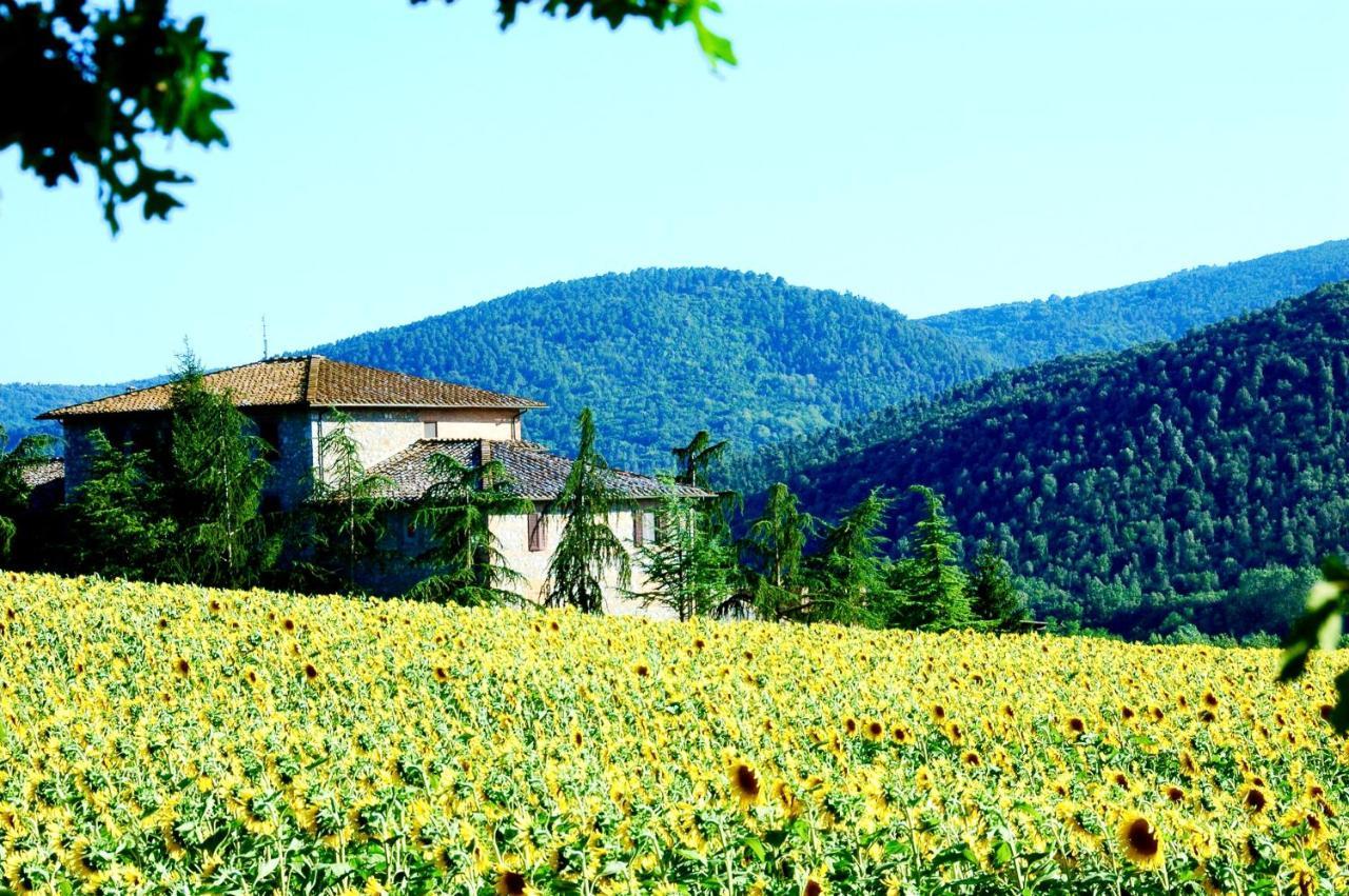 Agriturismo Montioni 소비씰 외부 사진