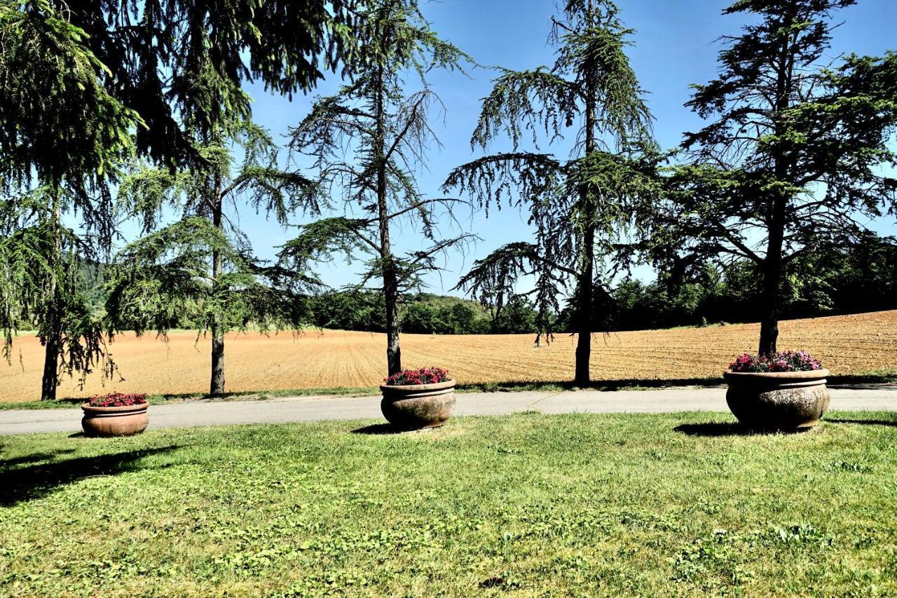 Agriturismo Montioni 소비씰 외부 사진