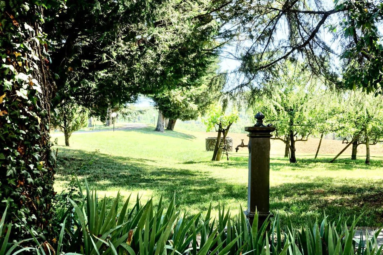 Agriturismo Montioni 소비씰 외부 사진